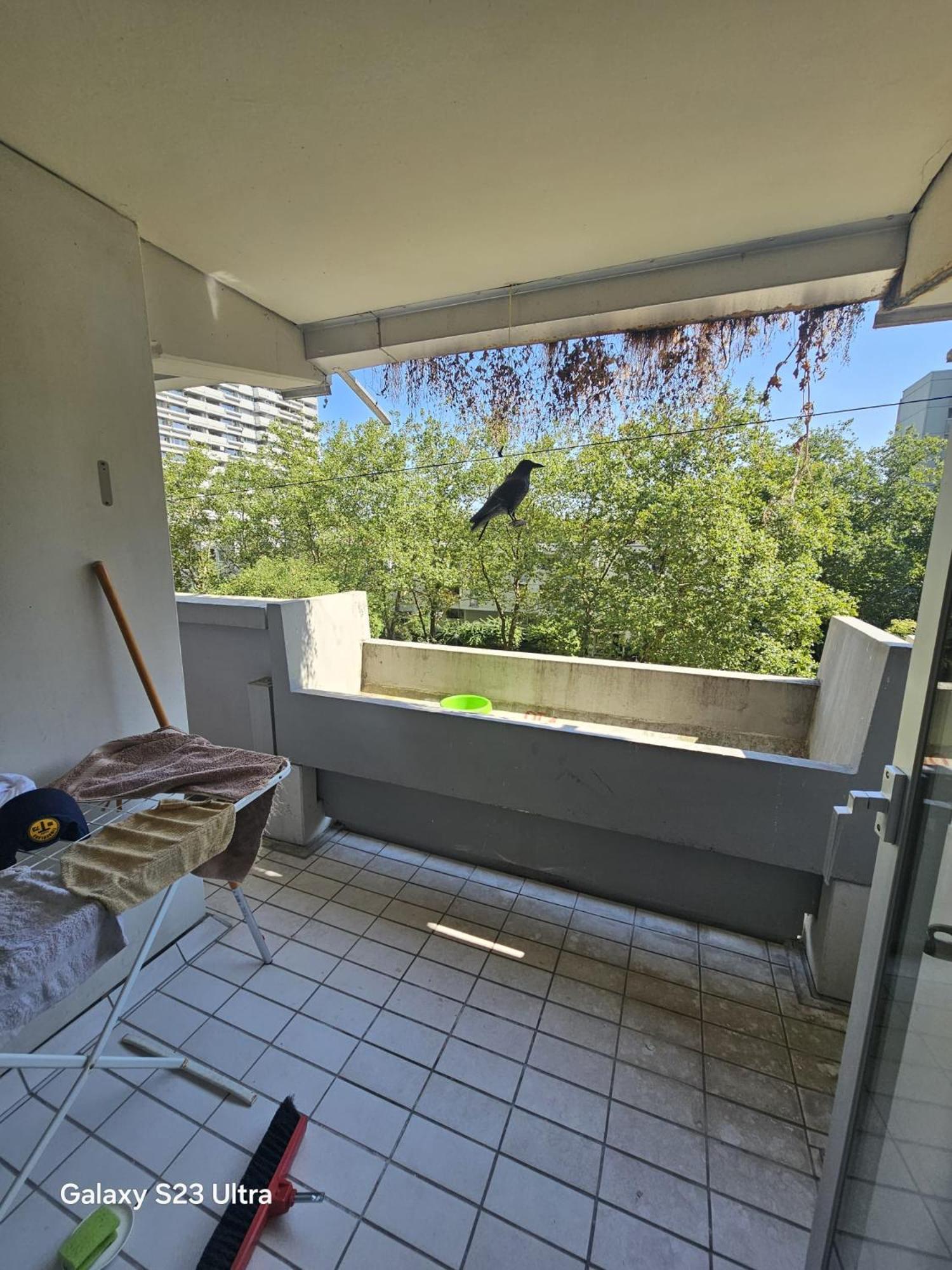 Oez 3 München